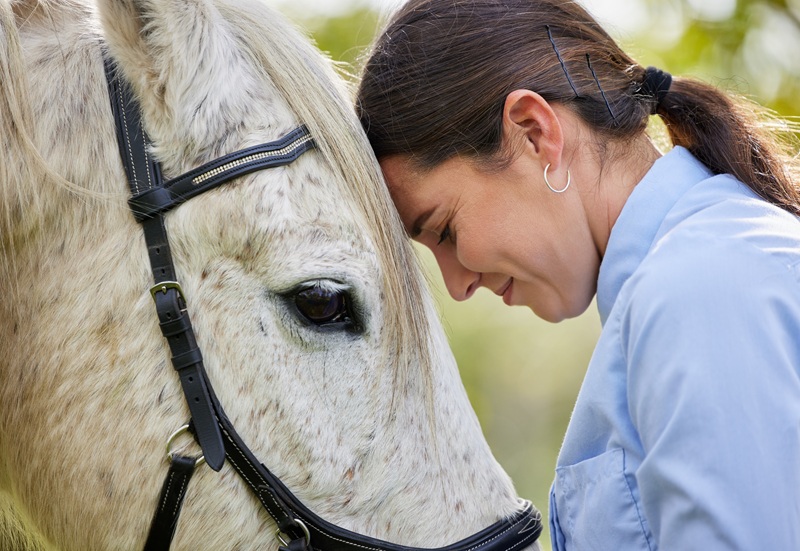 How Equine Therapy Helps Addiction Recovery?